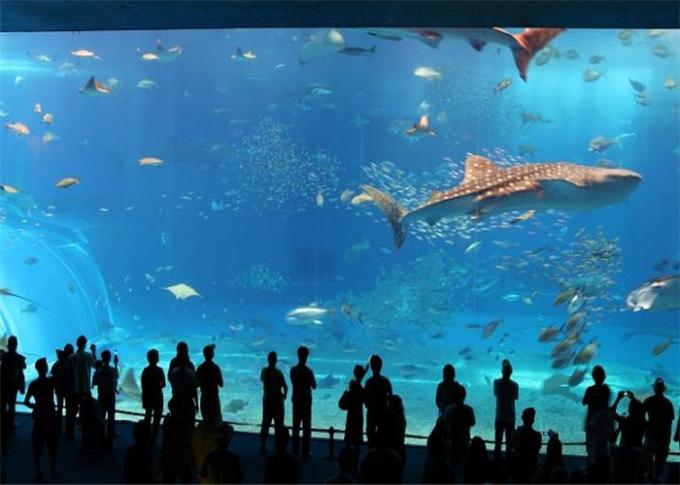 transparent cast pmma aquarium