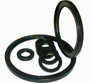 Customized Size Good Abrasion Resistance NR Metric Oil Seal for Engineering Machine