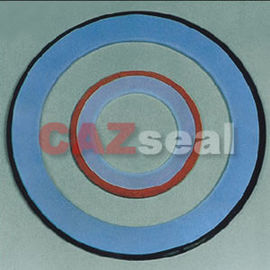 PTFE Envelope Gasket