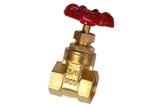 CE Brass Water Fountain Equipment Fountain Gate Valve SS304 NPT Female Thread